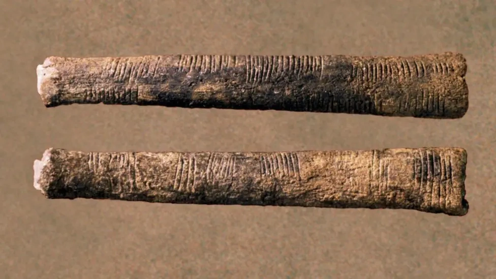 The 20,000-year-old Ishango Bone 